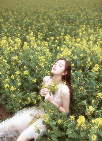 国产高清电影免费观看完整版在线观看熊出没